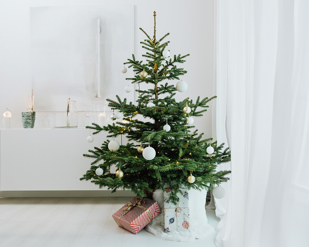 Como decorar uma árvore de Natal de uma forma moderna?