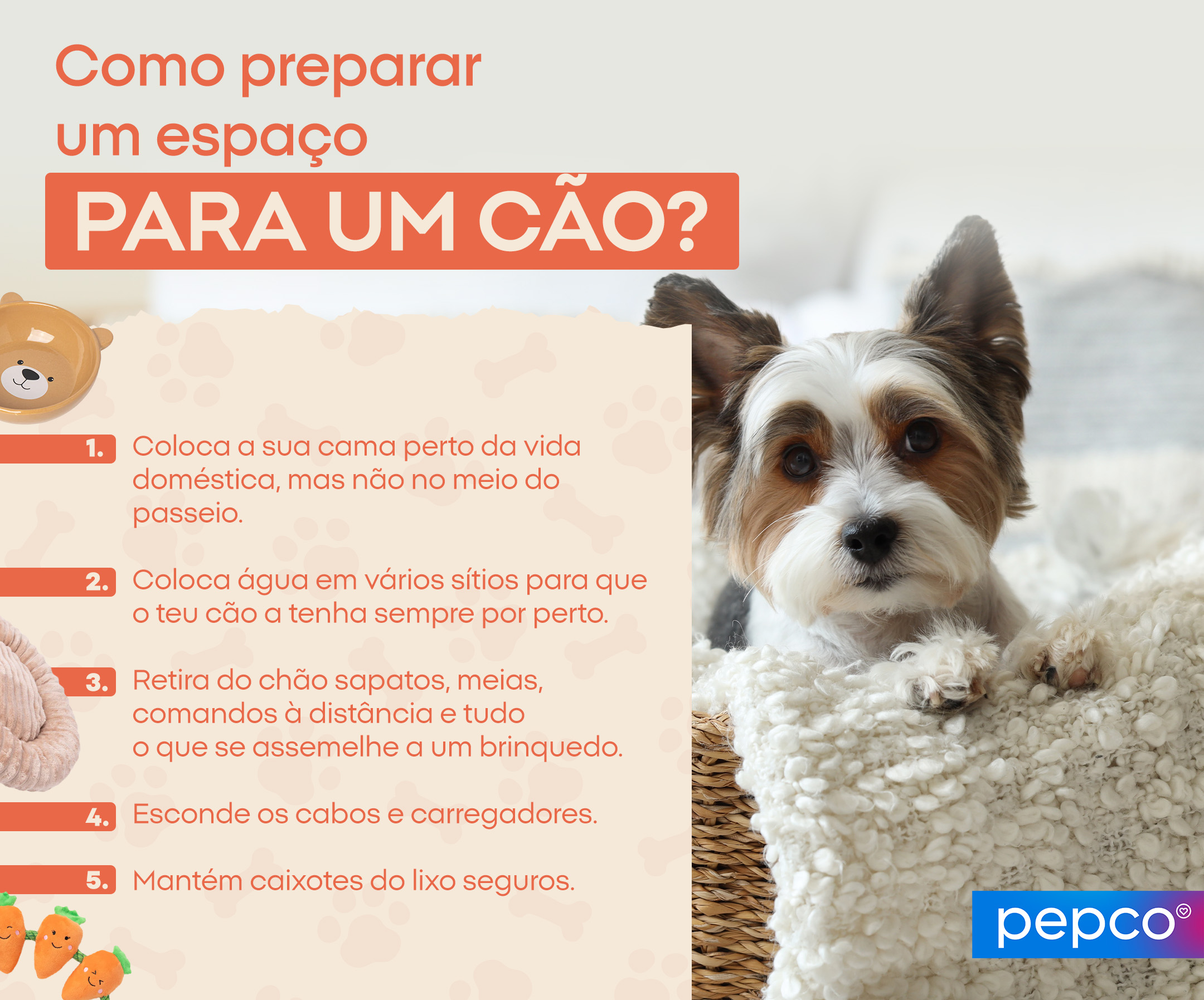 Como preparar um espaço para um cão? 